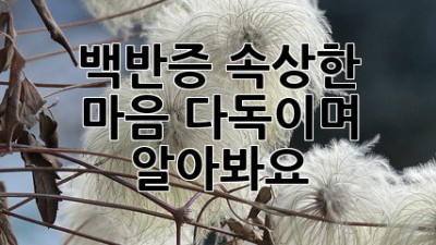 백반증, 속상한 마음 다독이며 알아봐요